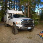 BEAR in Camp! ShirlGirl ARRIVES!