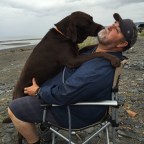 DIEZEL the Chocolate LAB